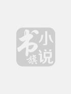 闪婚总裁契约前妻